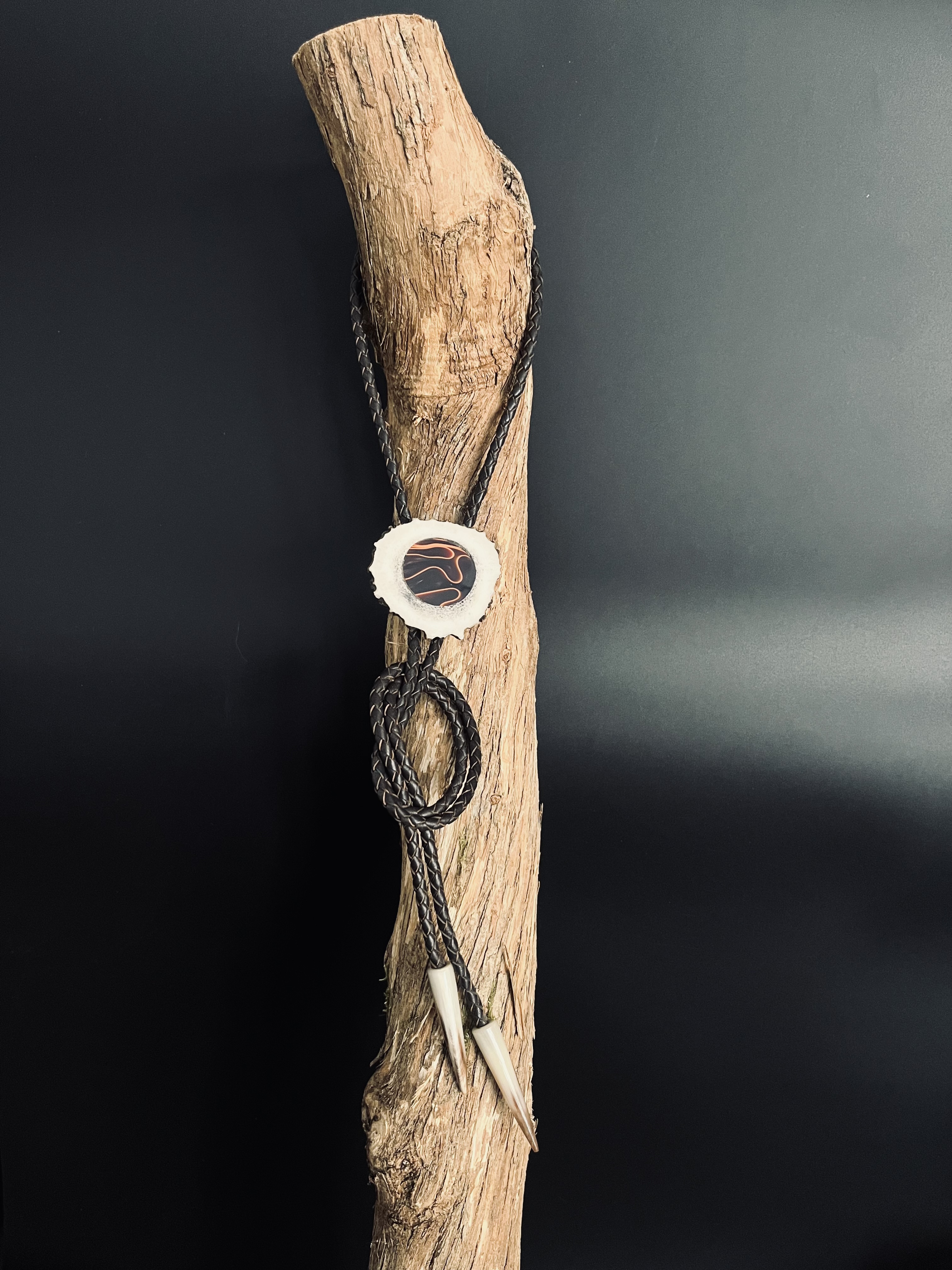 Image pour le produit