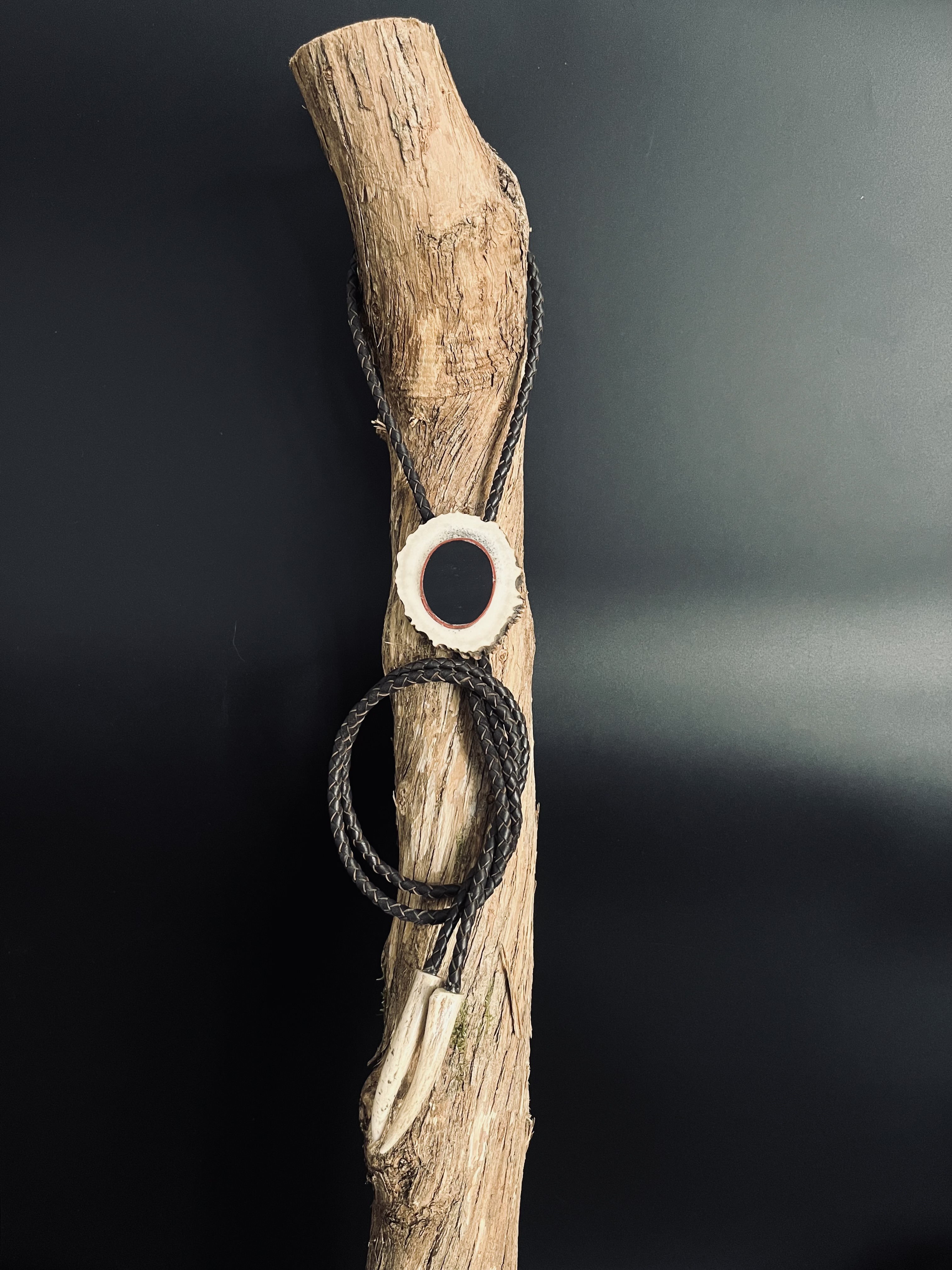 Image pour le produit