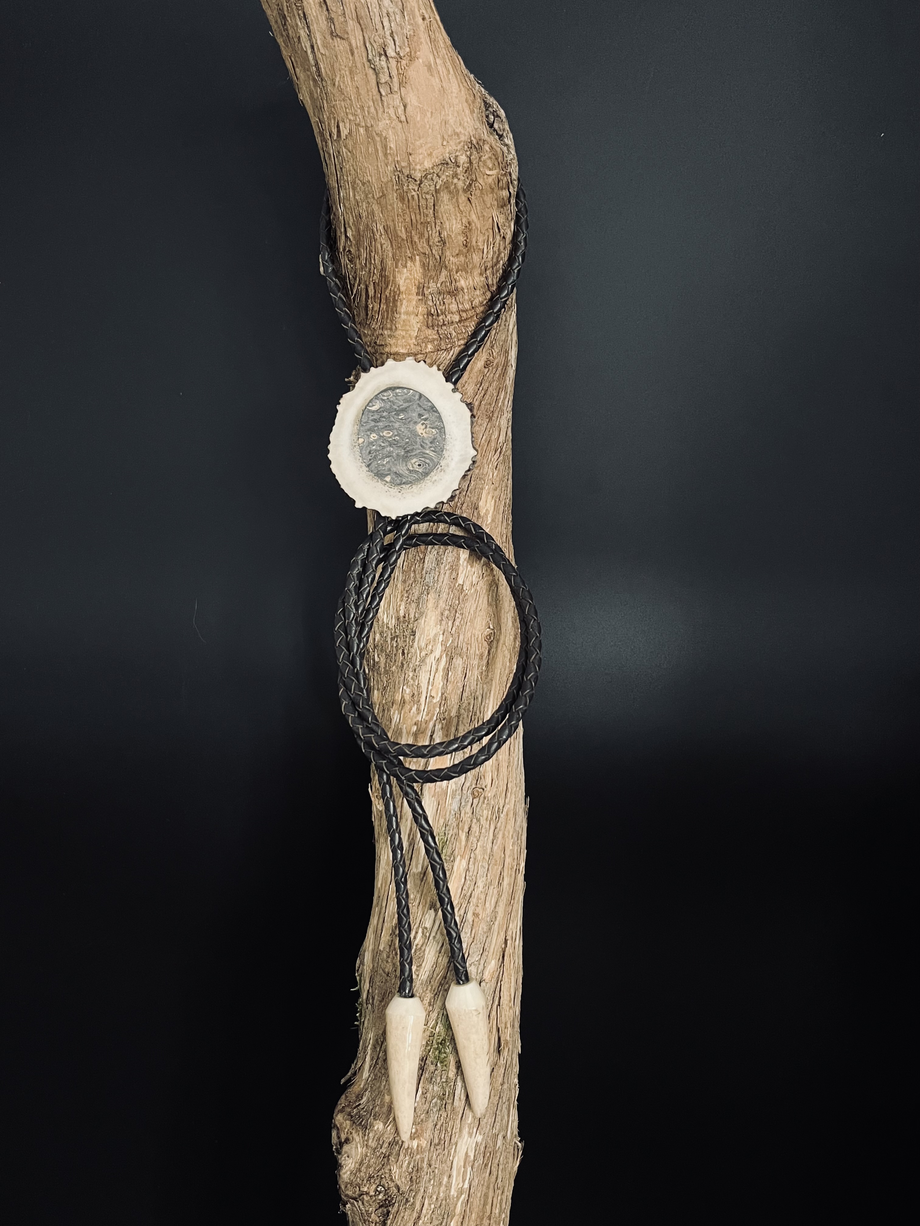 Image pour le produit