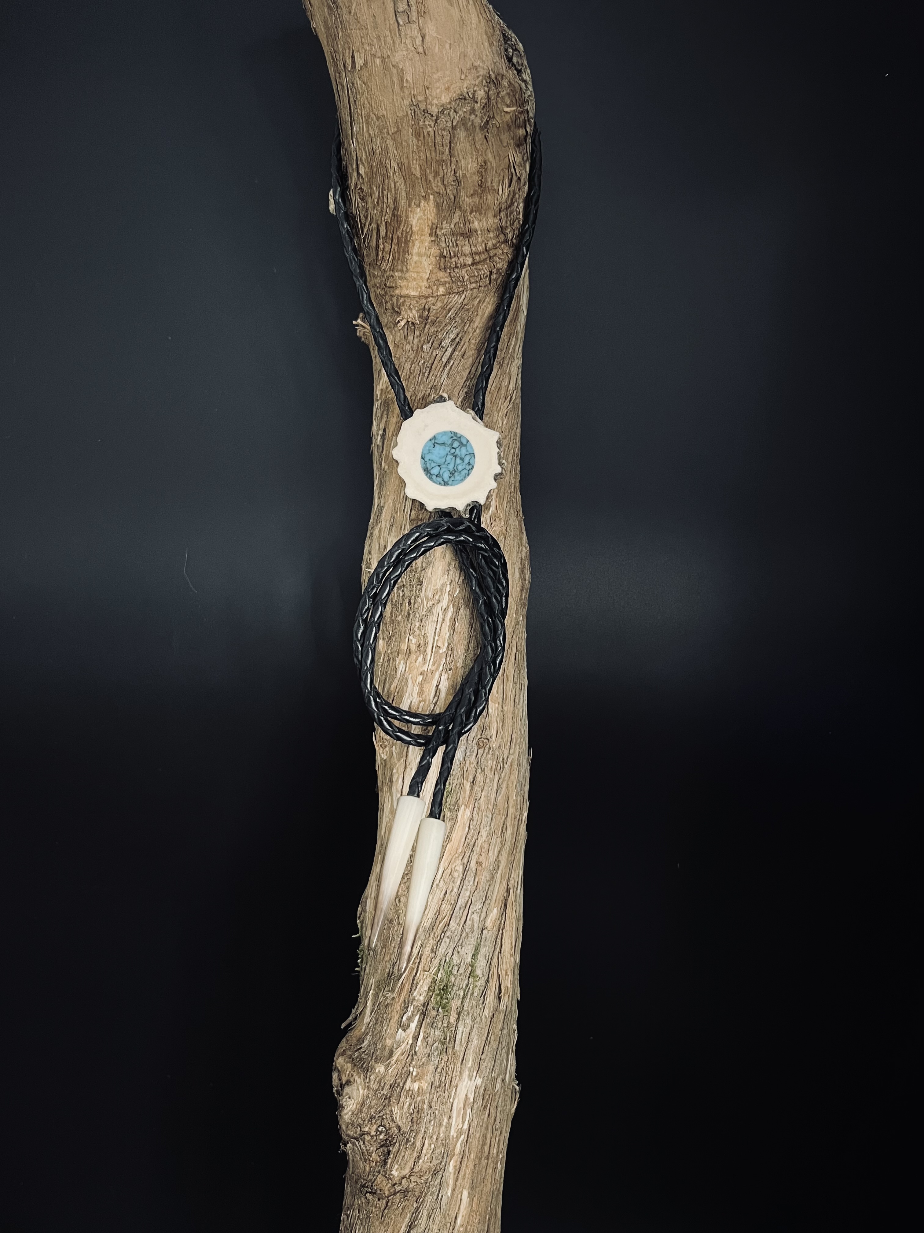 Image pour le produit