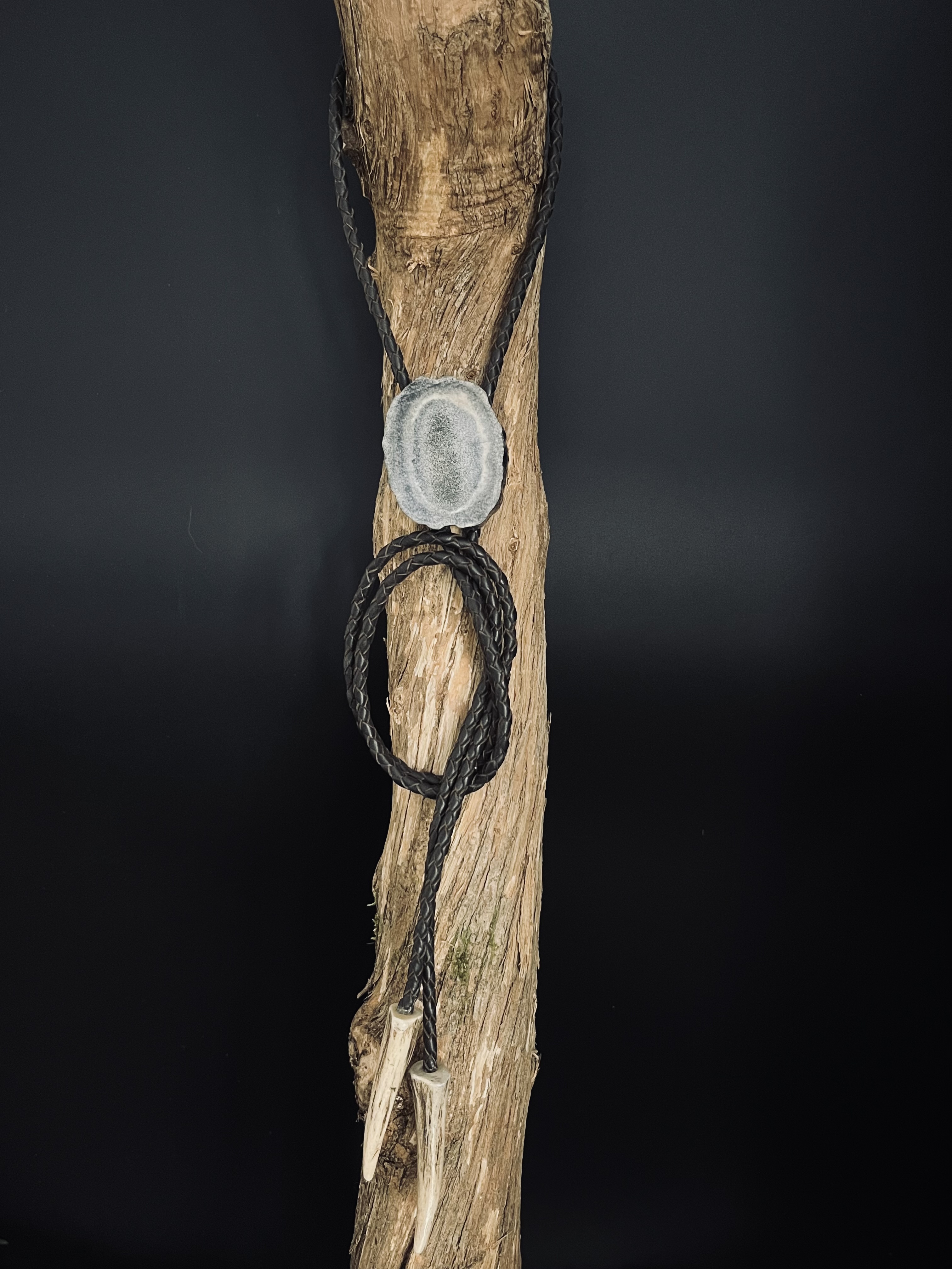 Image pour le produit