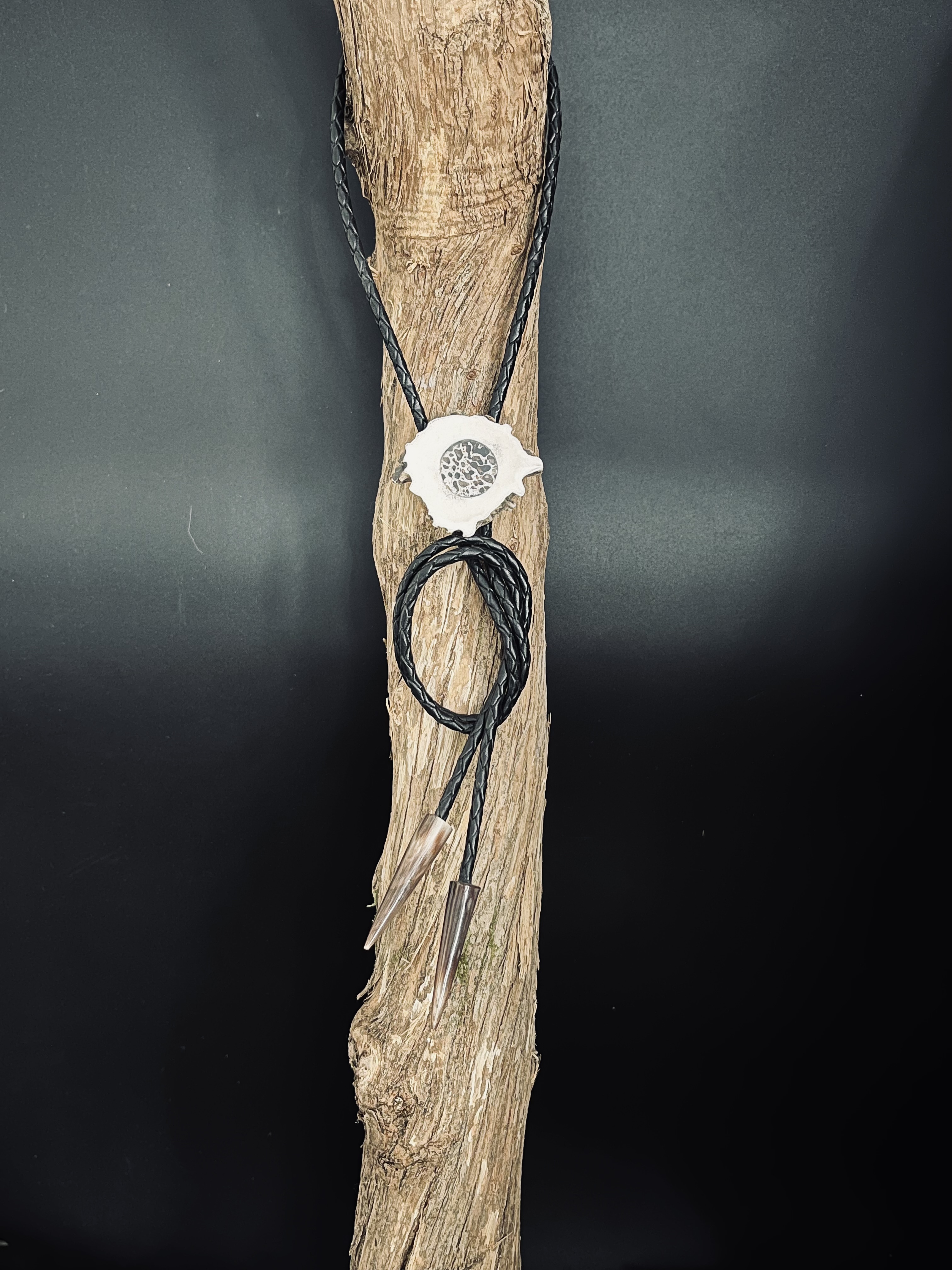 Image pour le produit