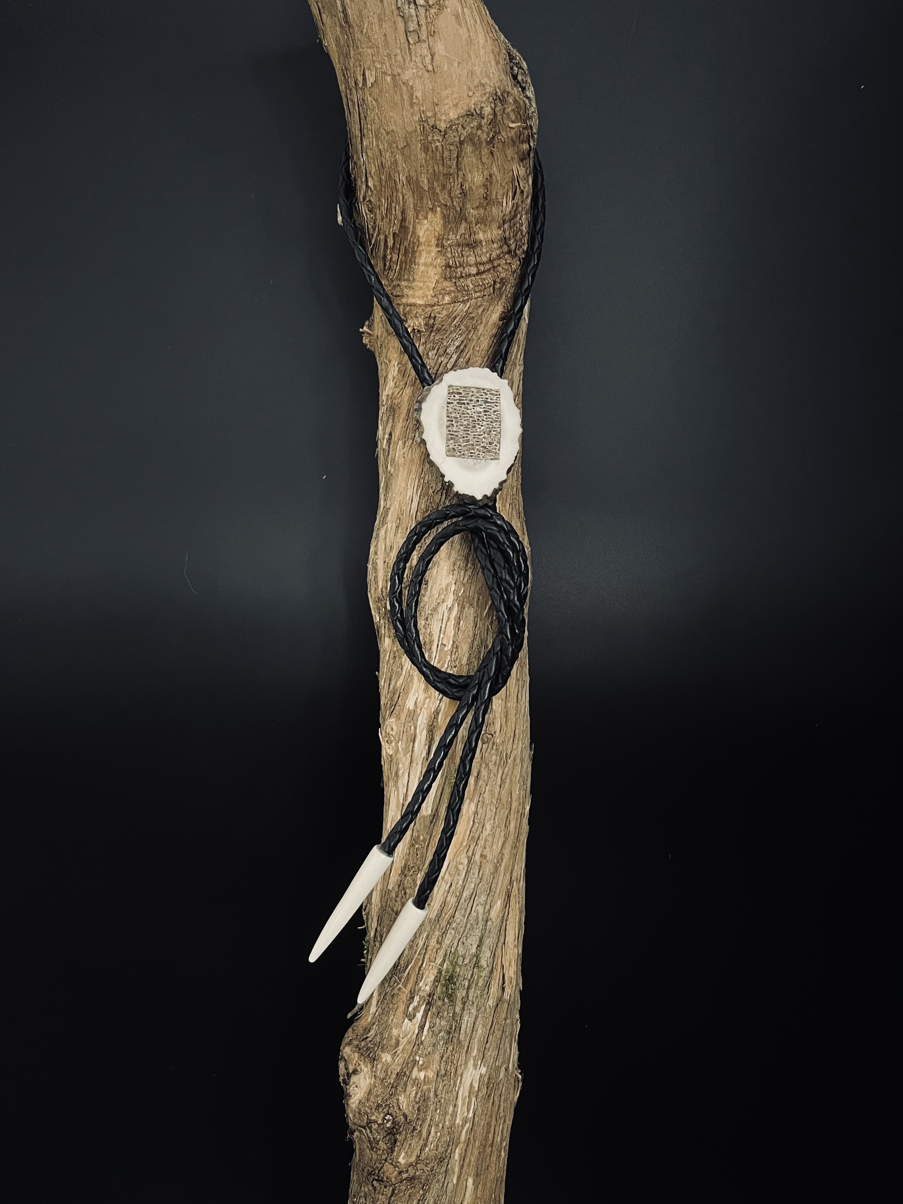 Image pour le produit