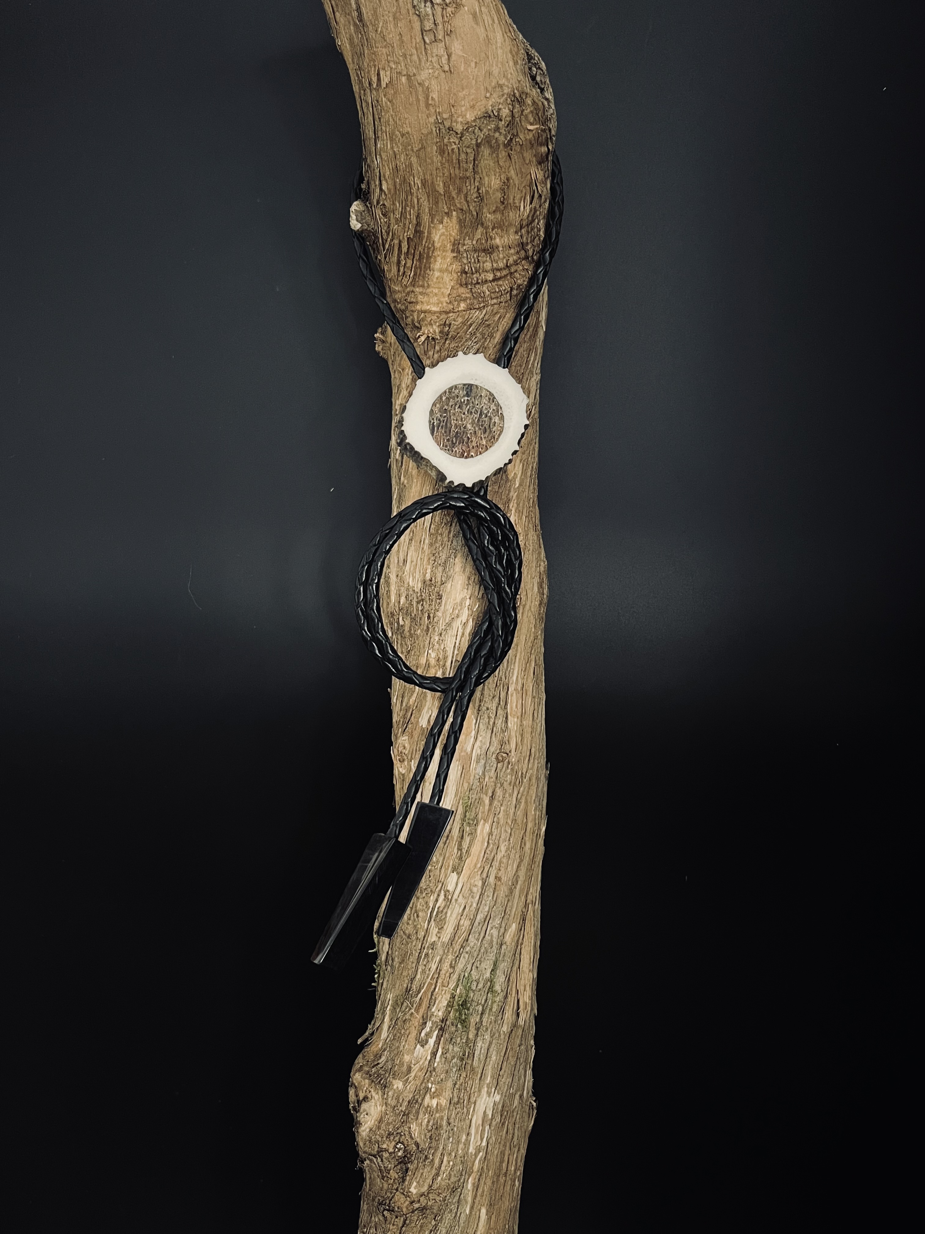 Image pour le produit