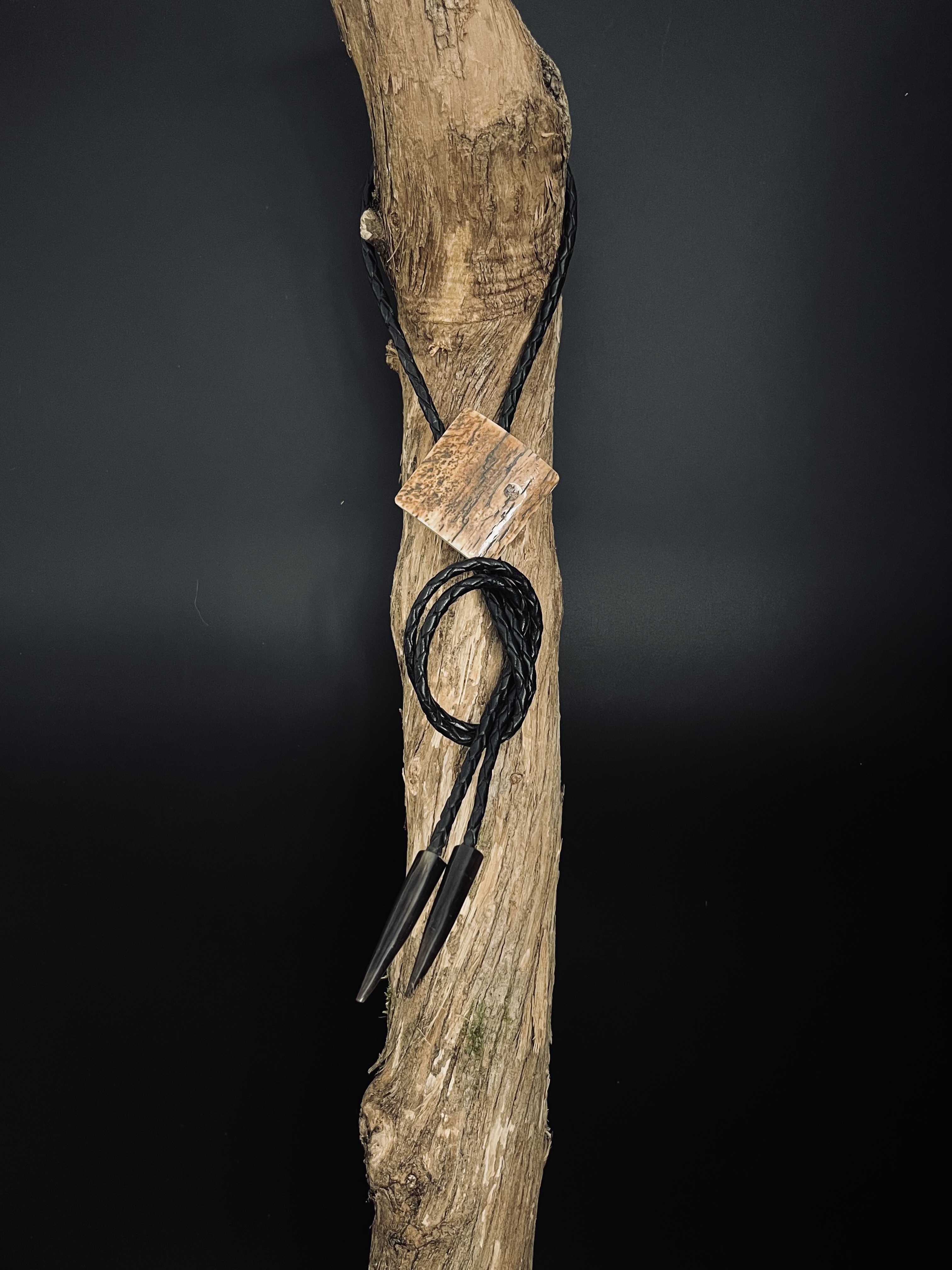 Image pour le produit