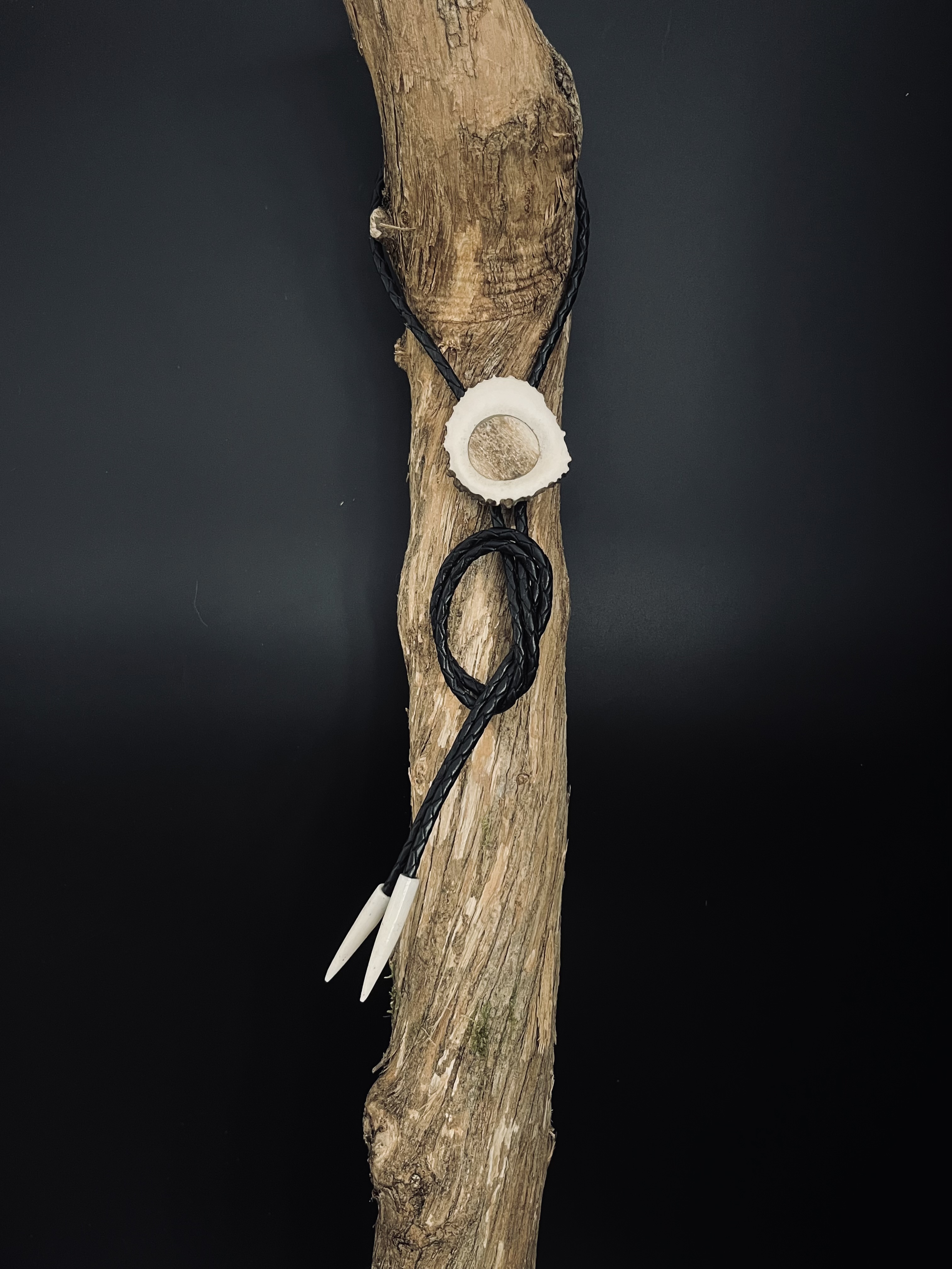 Image pour le produit