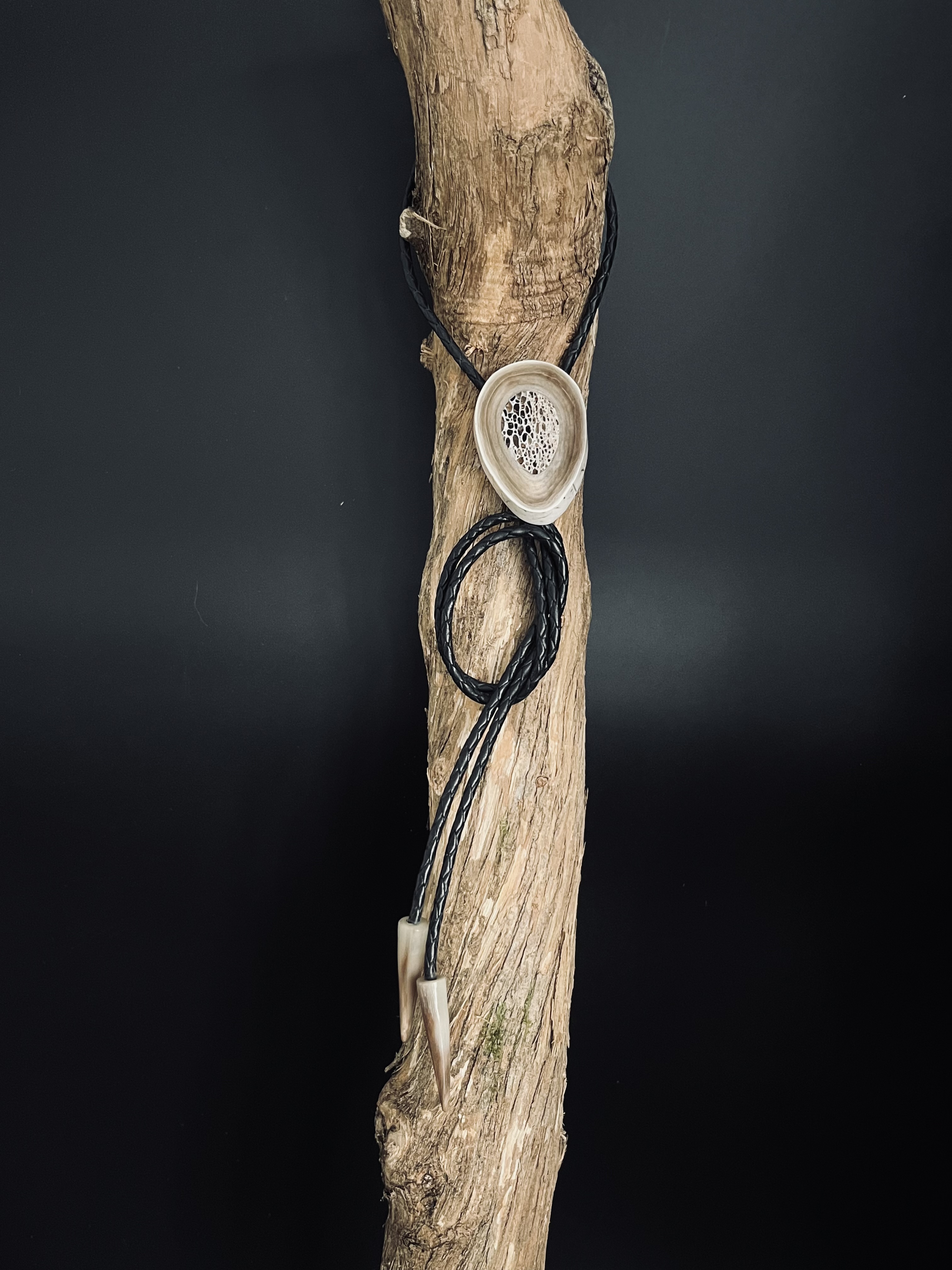 Image pour le produit