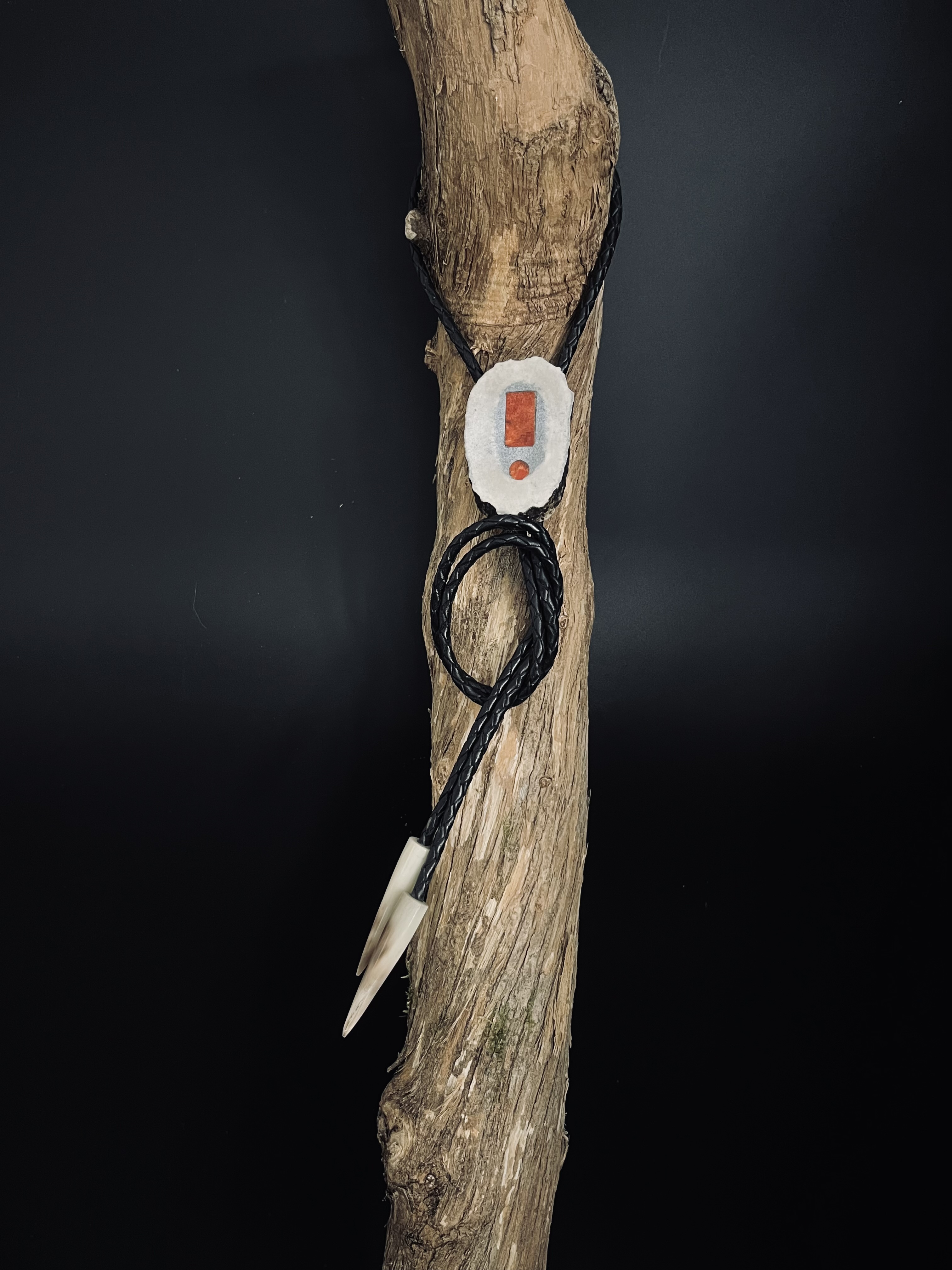 Image pour le produit