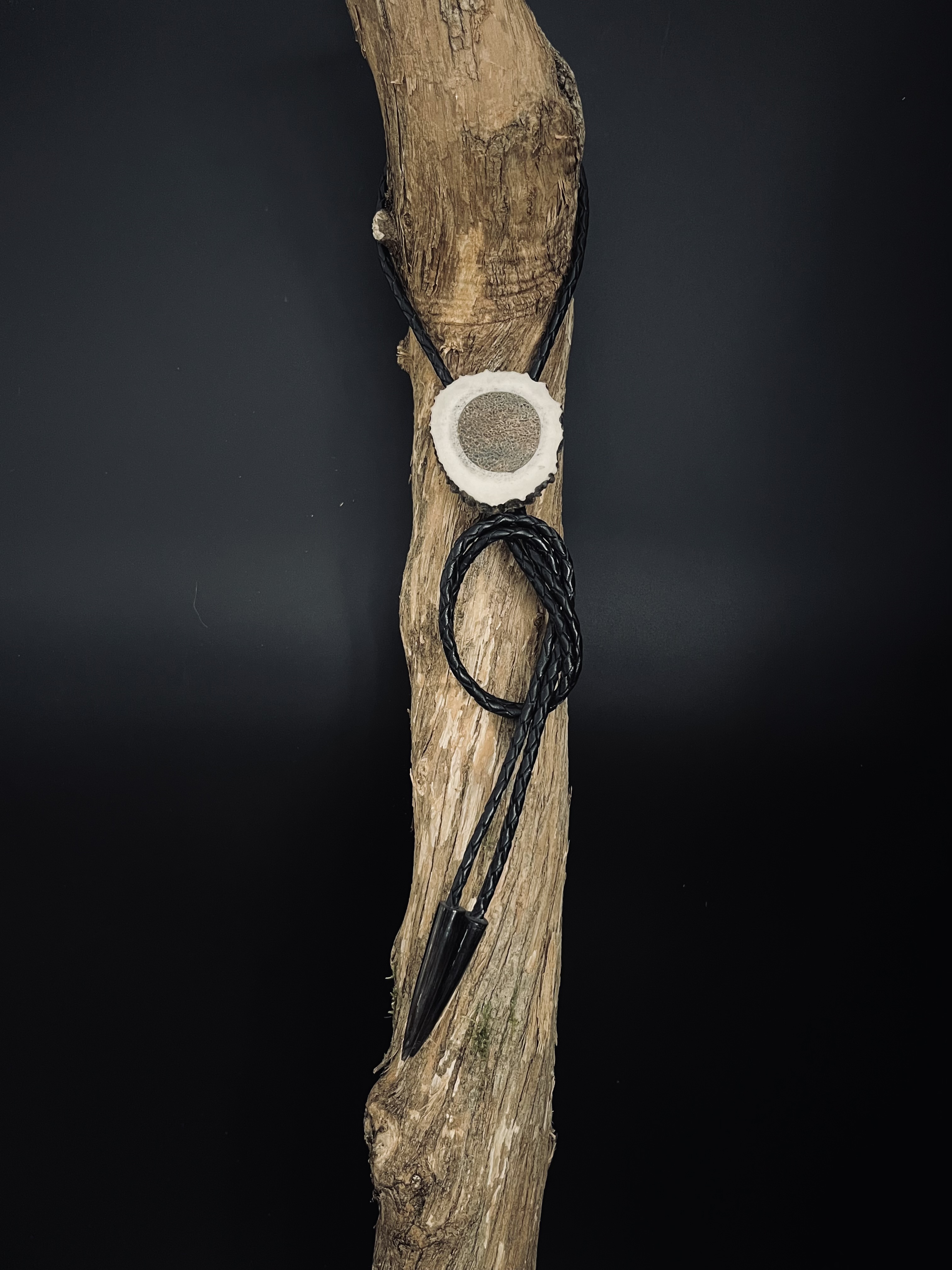 Image pour le produit