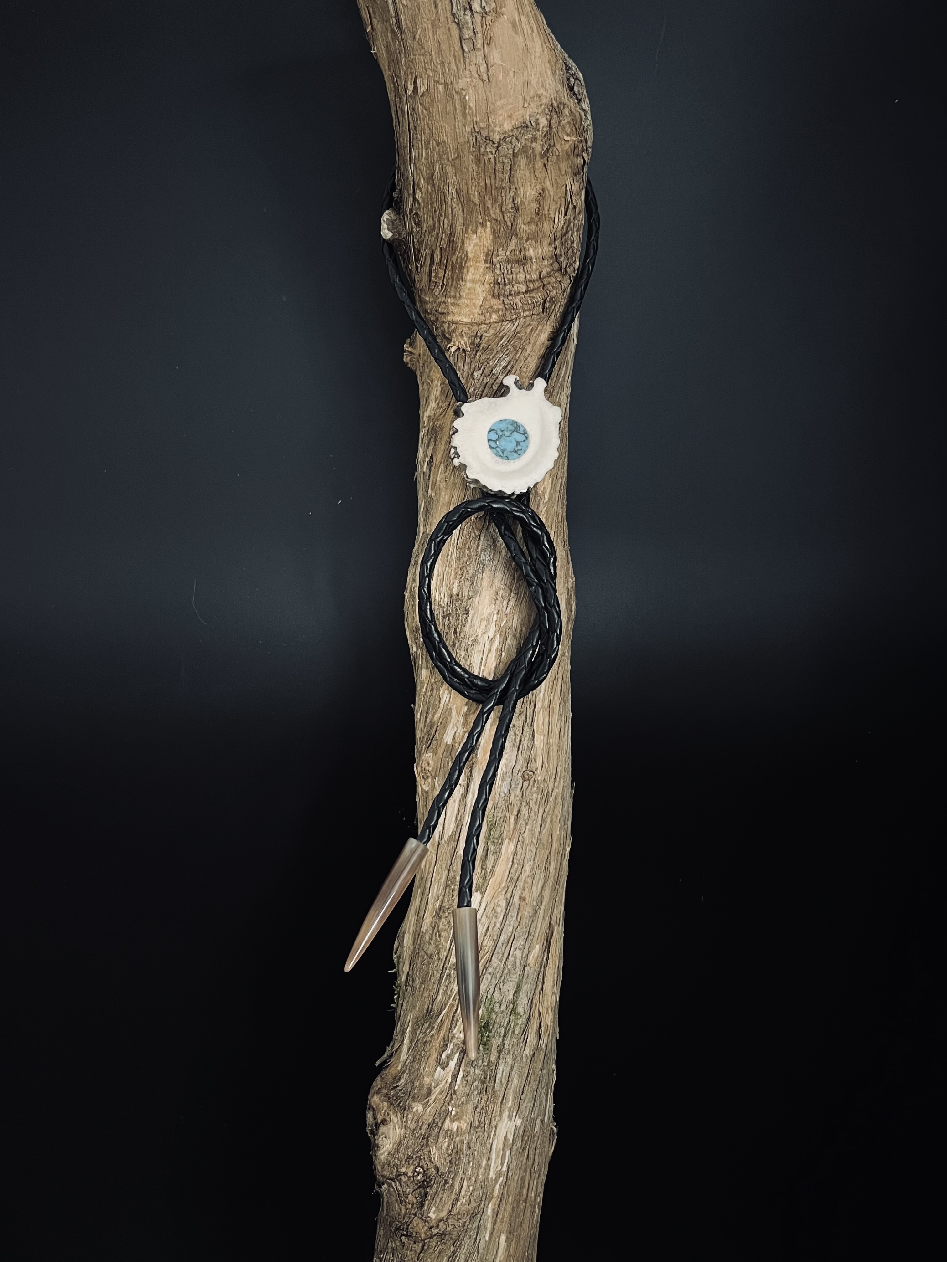 Image pour le produit